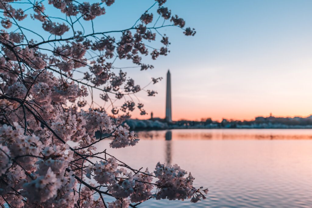 Places to go in dc - Tidal Basin