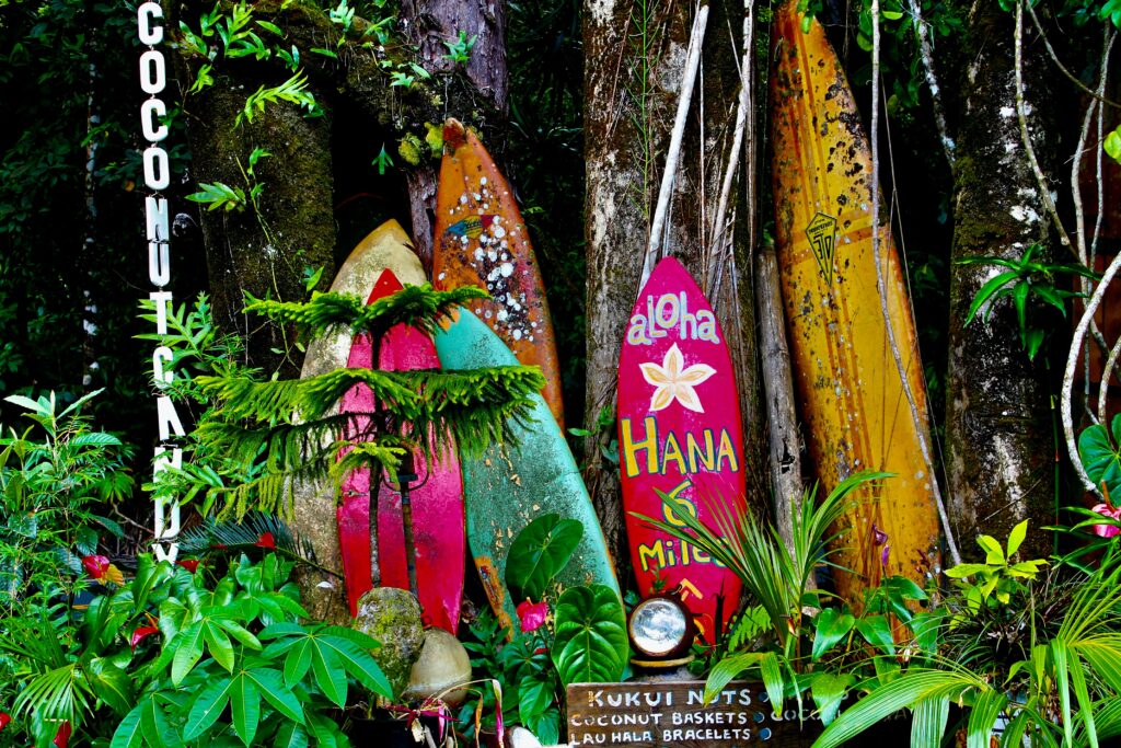 places to go in Maui - Hana